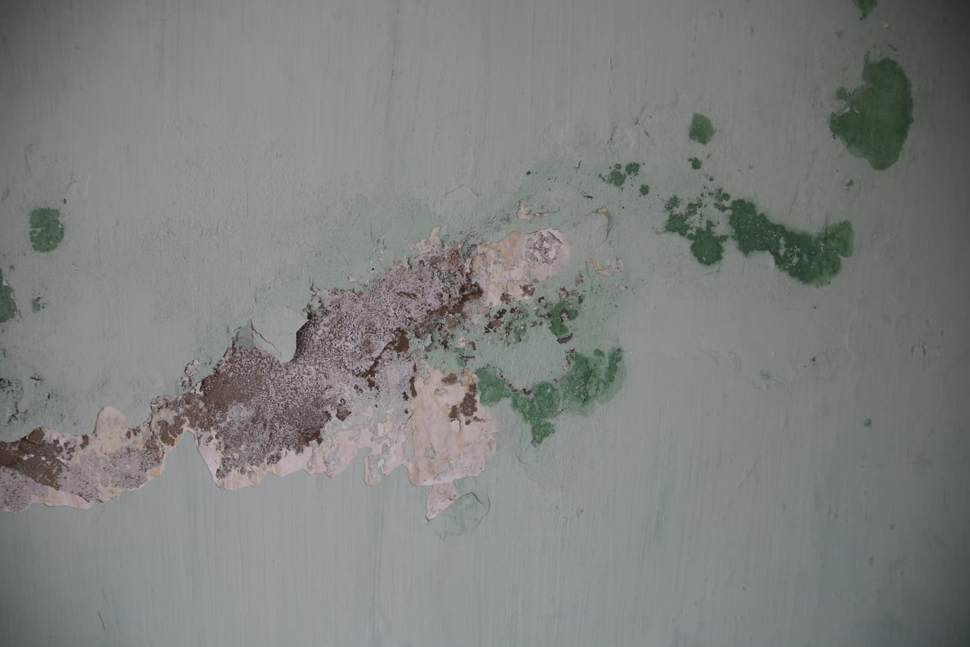 Feuchte Wand mit abplatzendem Putz und Schimmelbefall vor der Sanierung durch den Maler